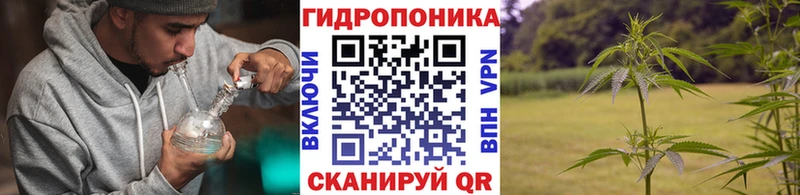 Марихуана конопля  наркота  Лысьва 
